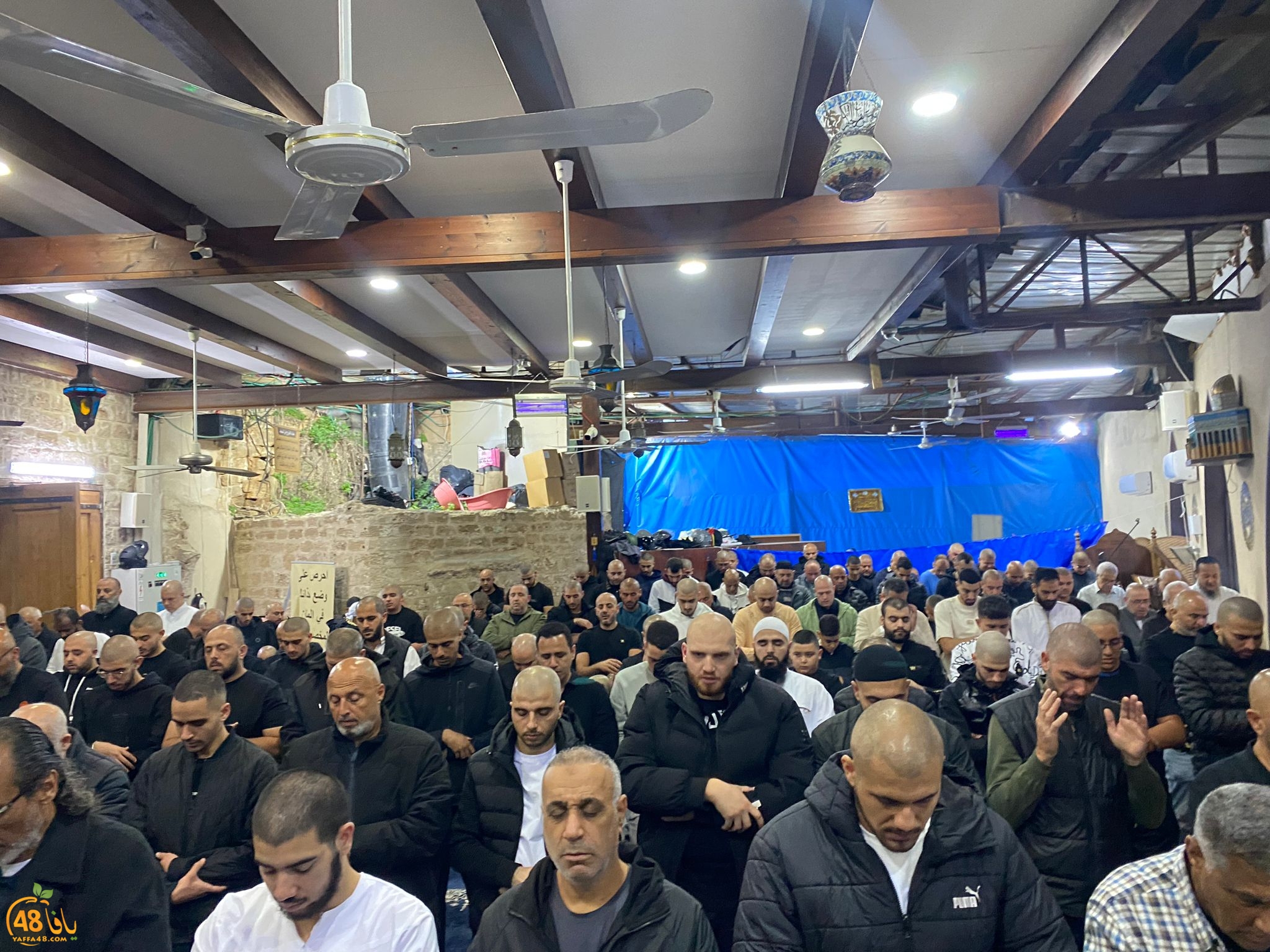 WhatsApp Image 2024-04-10 at 6.44.54 AM (1).jpeg